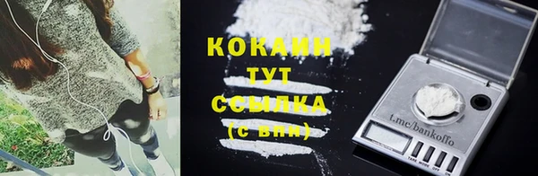 эйфоретик Гусев