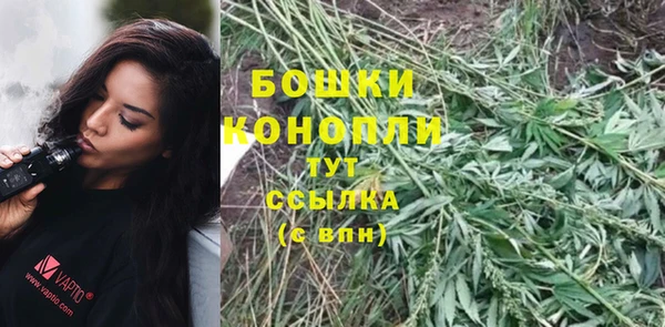 эйфоретик Гусев