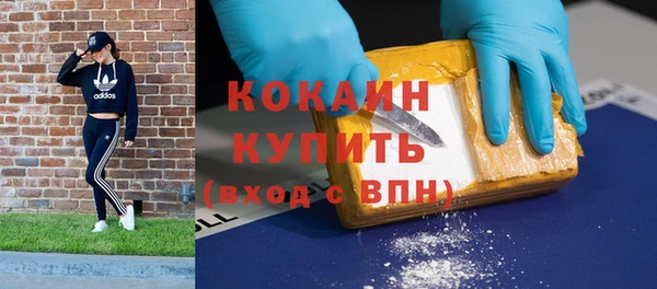 эйфоретик Гусев