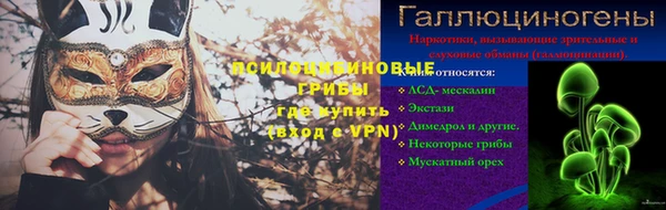 эйфоретик Гусев