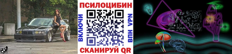 Купить где  Звенигород  Псилоцибиновые грибы мицелий 